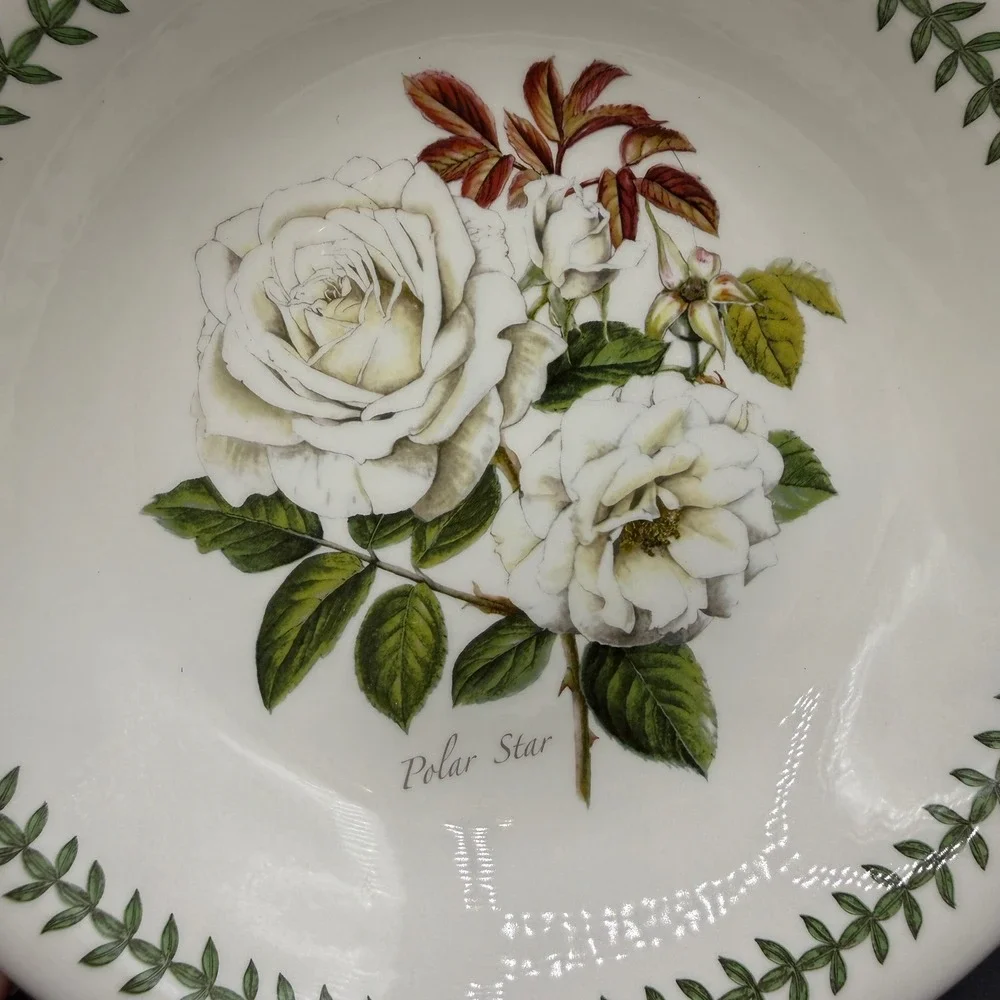 Portmeirion Botanic Roses Pasta Bowls Set of 4 Floral White 8.5in Cottagecore